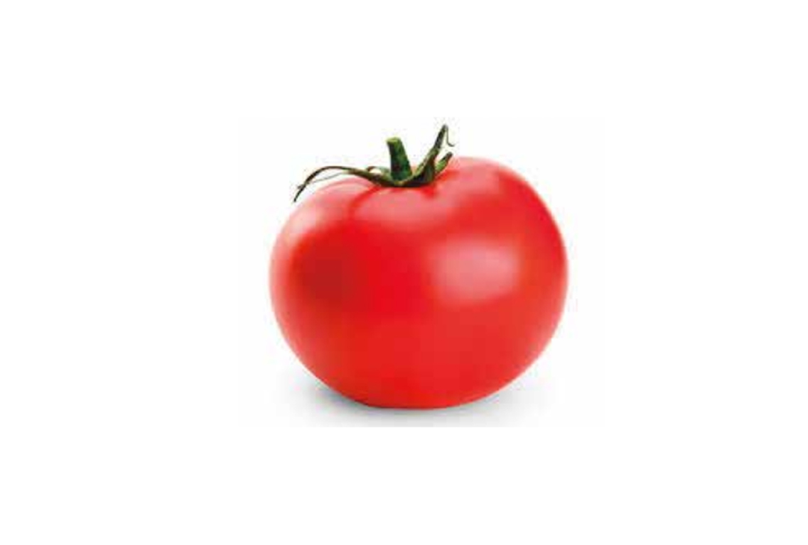 TOMATE SAN PEDRO SOLANUM LYCOPERSICUM Semilleros La Palma
